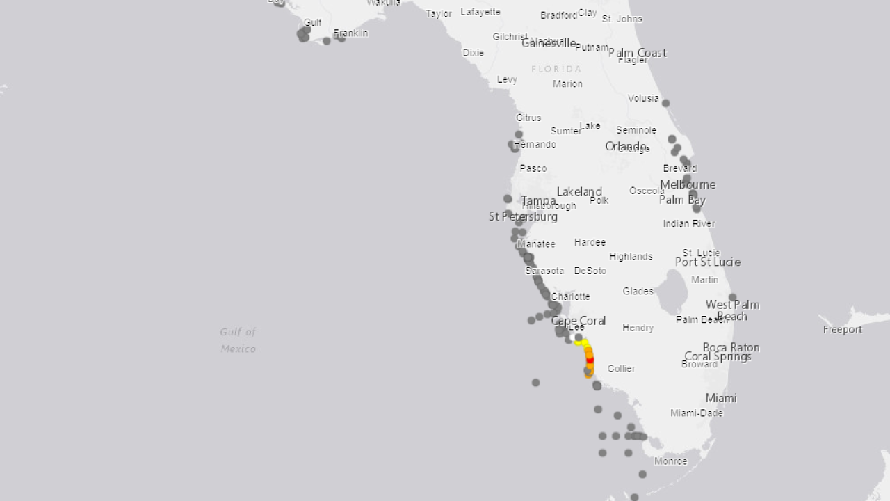 Red Tide Is Back In Florida S Southwest Coast Scientists Say