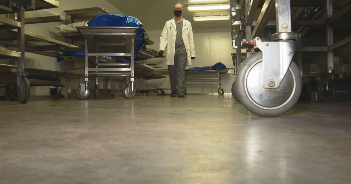 Conspiracies attack coroner: Families demand COVID-19 diagnoses be removed from loved one’s death certificates Conspiracies attack coroner: Families demand COVID-19 diagnoses be removed from loved one’s death certificates