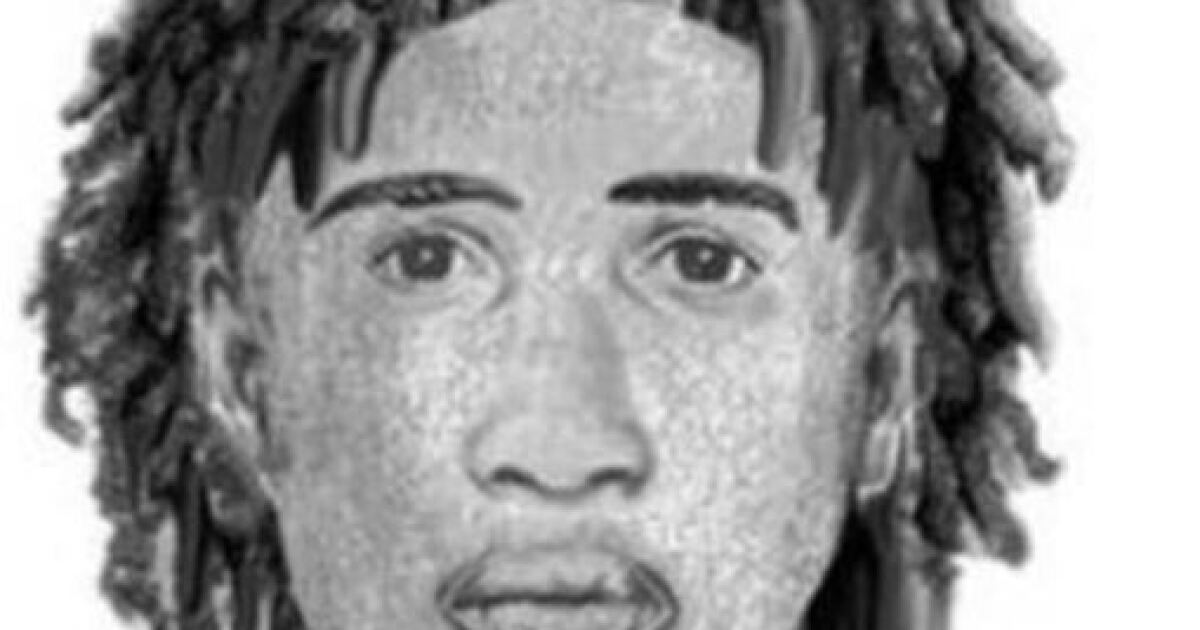 Police release sketch of sexual assault suspect
