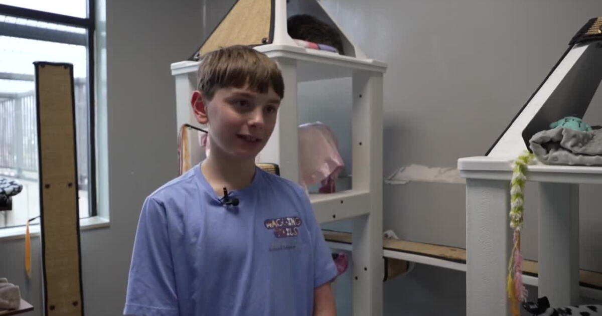 Montana boy creates program to benefit animal adoption center - Vimarsana News