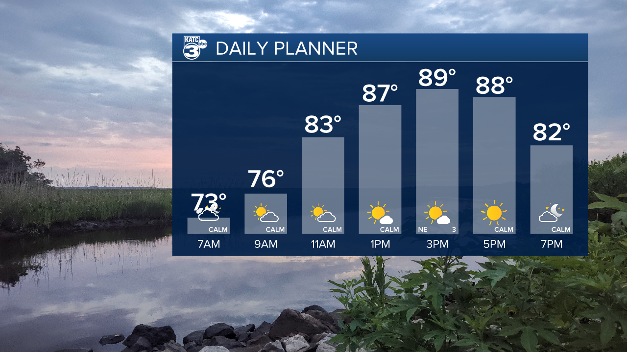 Daniel Day Planner.png