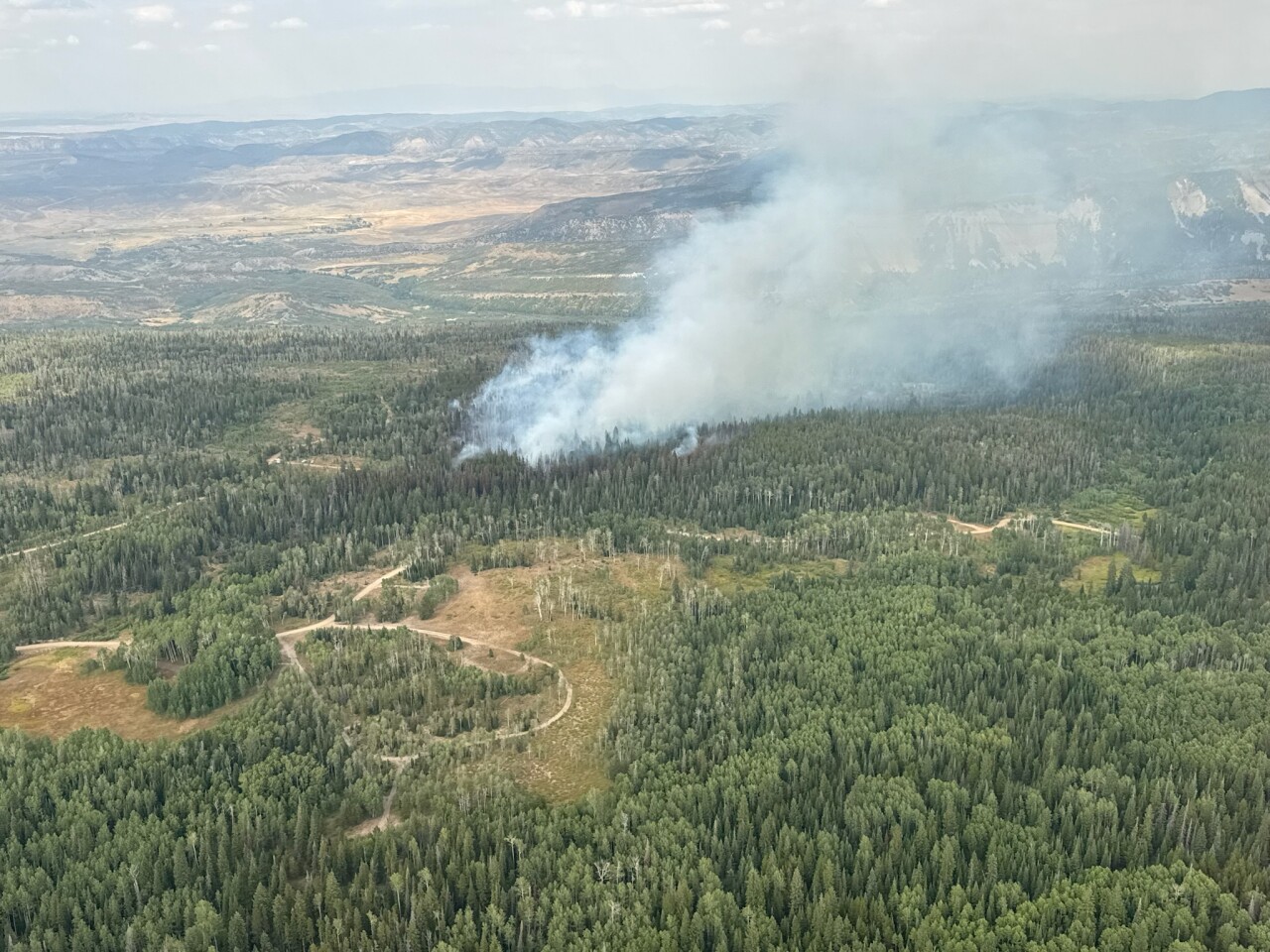 Yellowjacket Fire 8-15-25