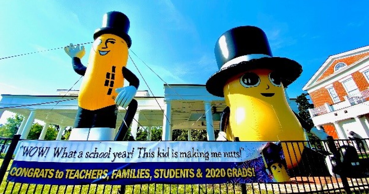 It's National Peanut Day! Learn how Suffolk plays vital role in peanut industry - Vimarsana News