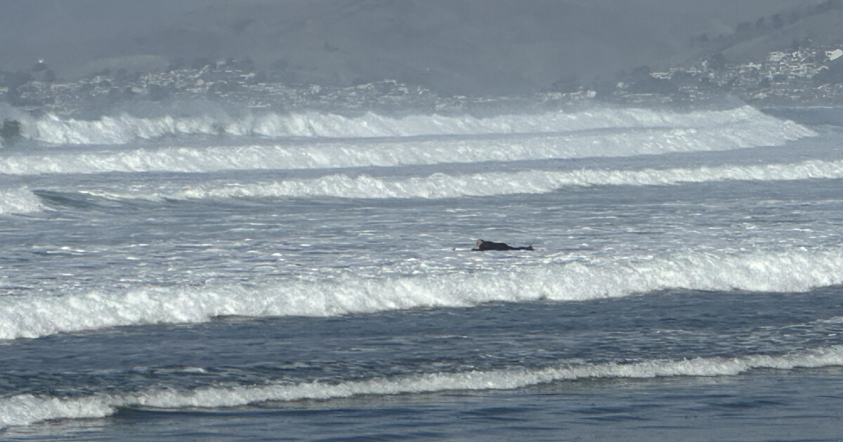 Large waves in Morro Bay bring surfers from out of town to the beach - Vimarsana News