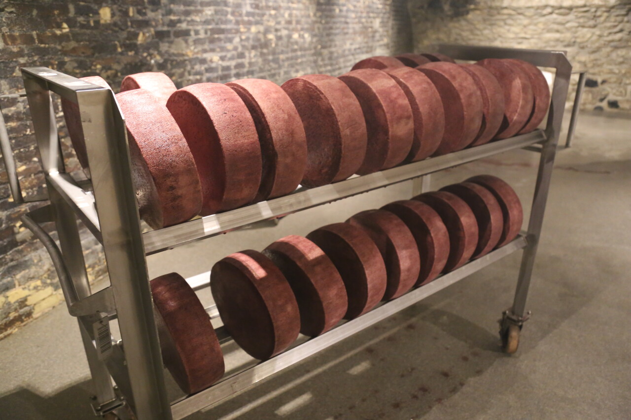 BellaVitano Cheese
