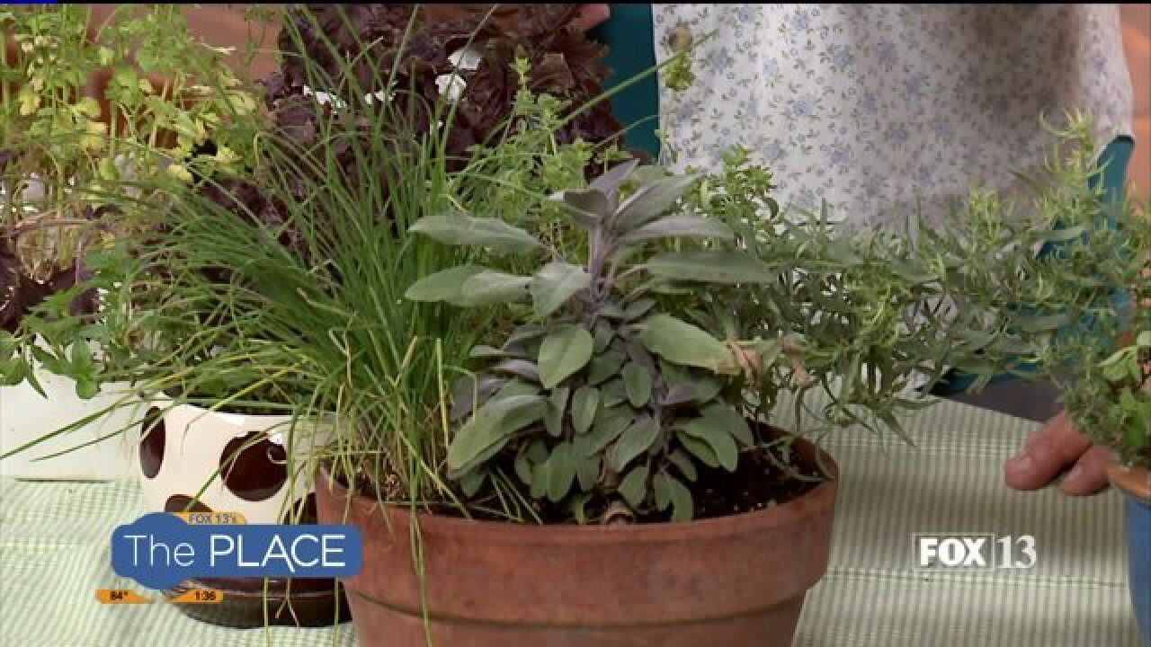 Create your own edible herb garden