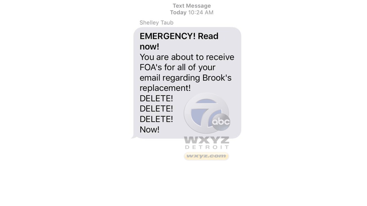 shelly-taub-text-00000 copy.jpg