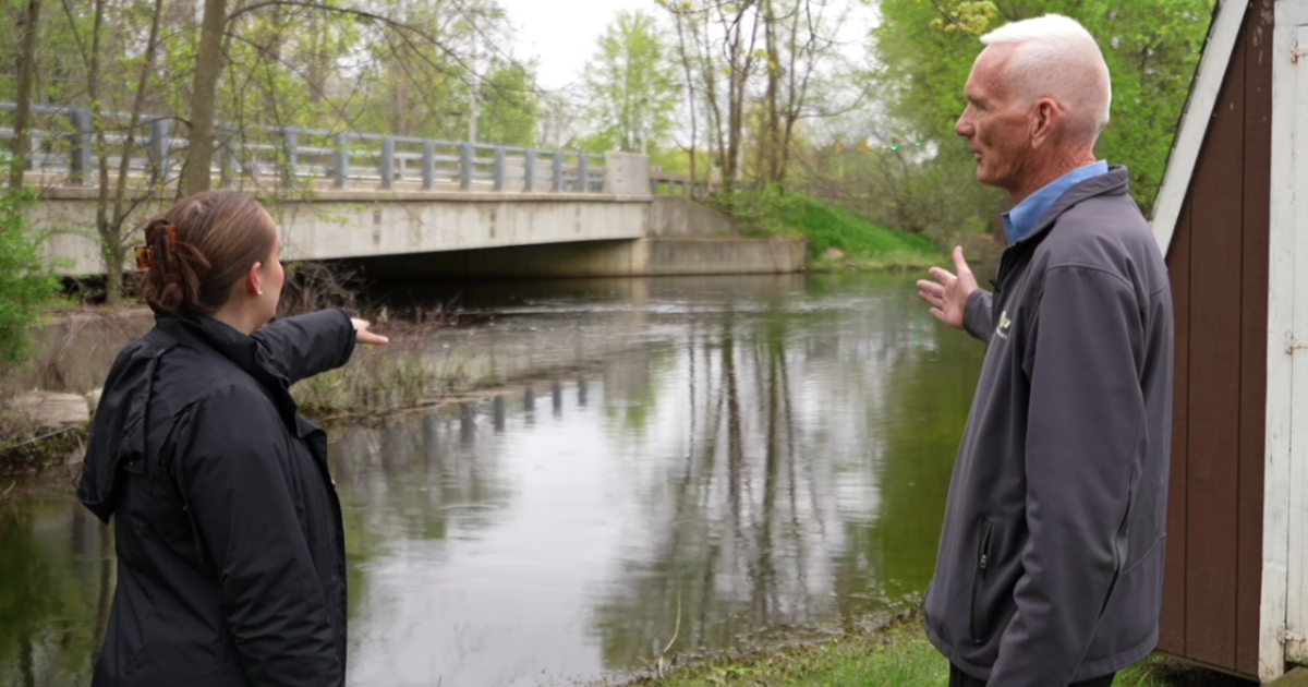 Flood Watch: what's happening and what it means — image 2
