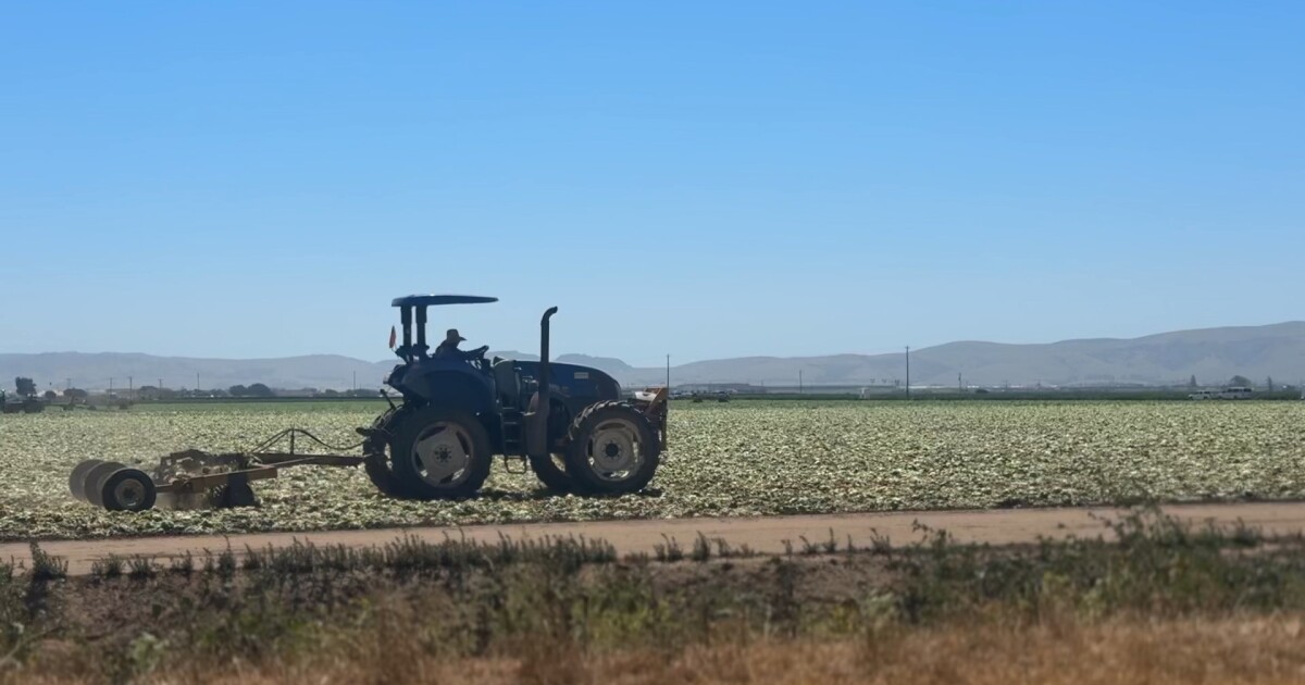 New statewide report details how wages and living conditions are impacting California farmworkers