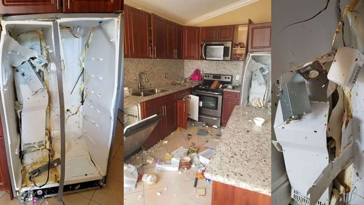 refrigerator explodes inside family home in west palm beach