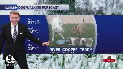 Poster image (2).jpg