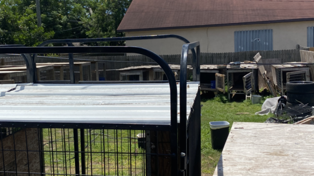 Largo animal cruelty arrest3.png