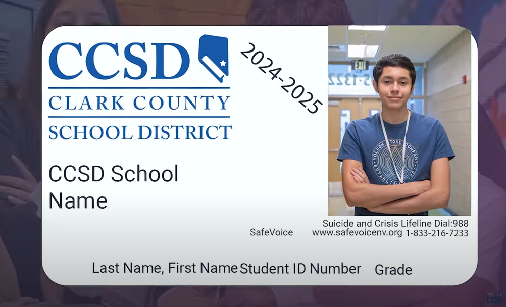 CCSD Student IDs