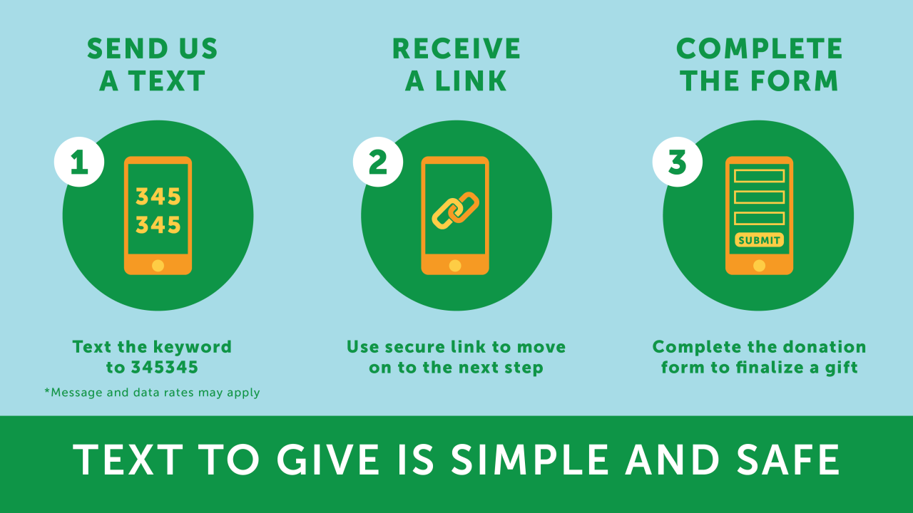 If You Give A Child A Book Text to Donate