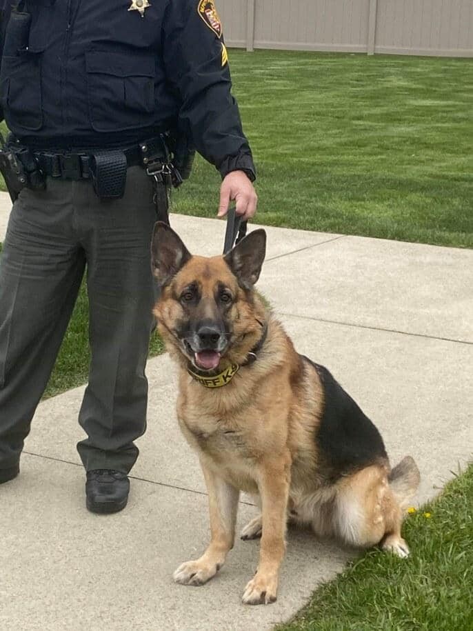 Stark County Sheriff's Office bring their K-9s to visit the Allay Senior Care Center.