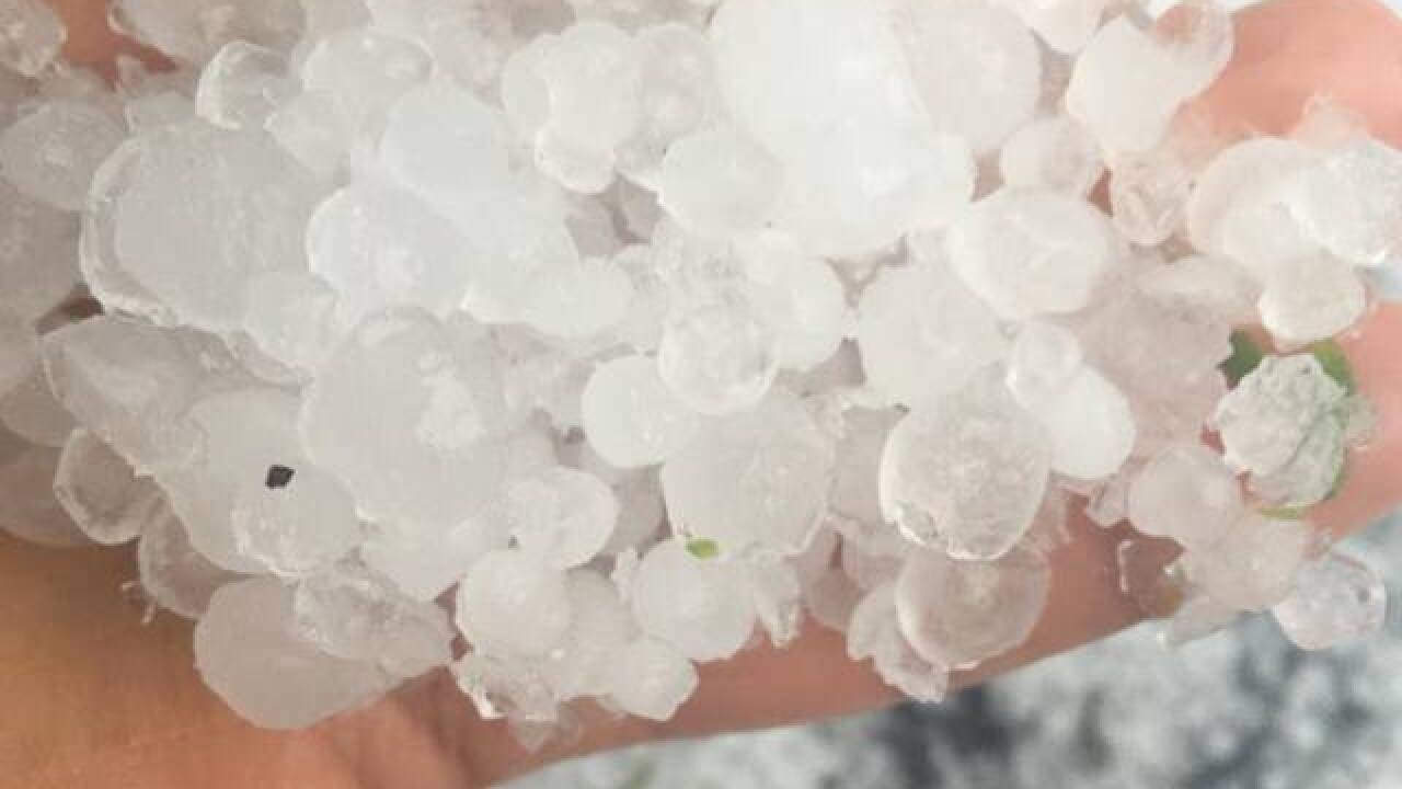 PHOTOS: Quarter-sized hail from April 26 storm
