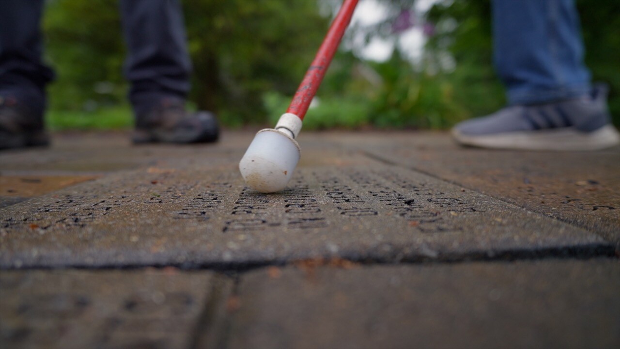 CANE PIC.jpg
