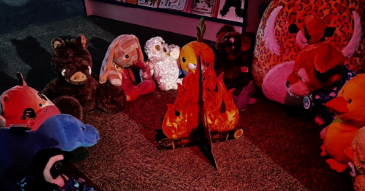 Toy store hosting overnight 'stuffy sleepover' for your favorite furry friends - Vimarsana News