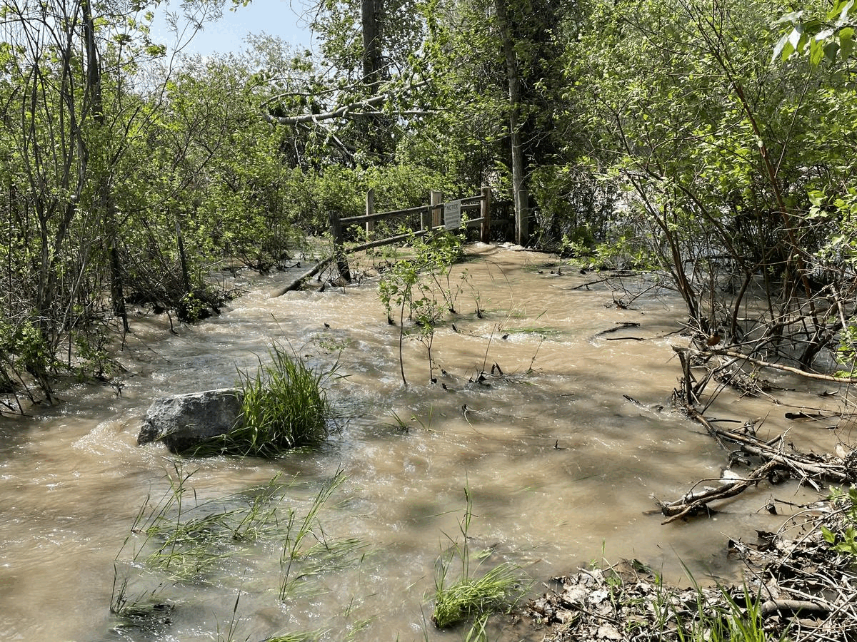 cameron bridge flooding.gif