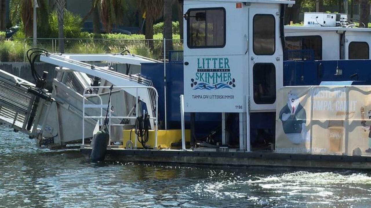 litter skimmer