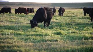 Poster image (7).jpg