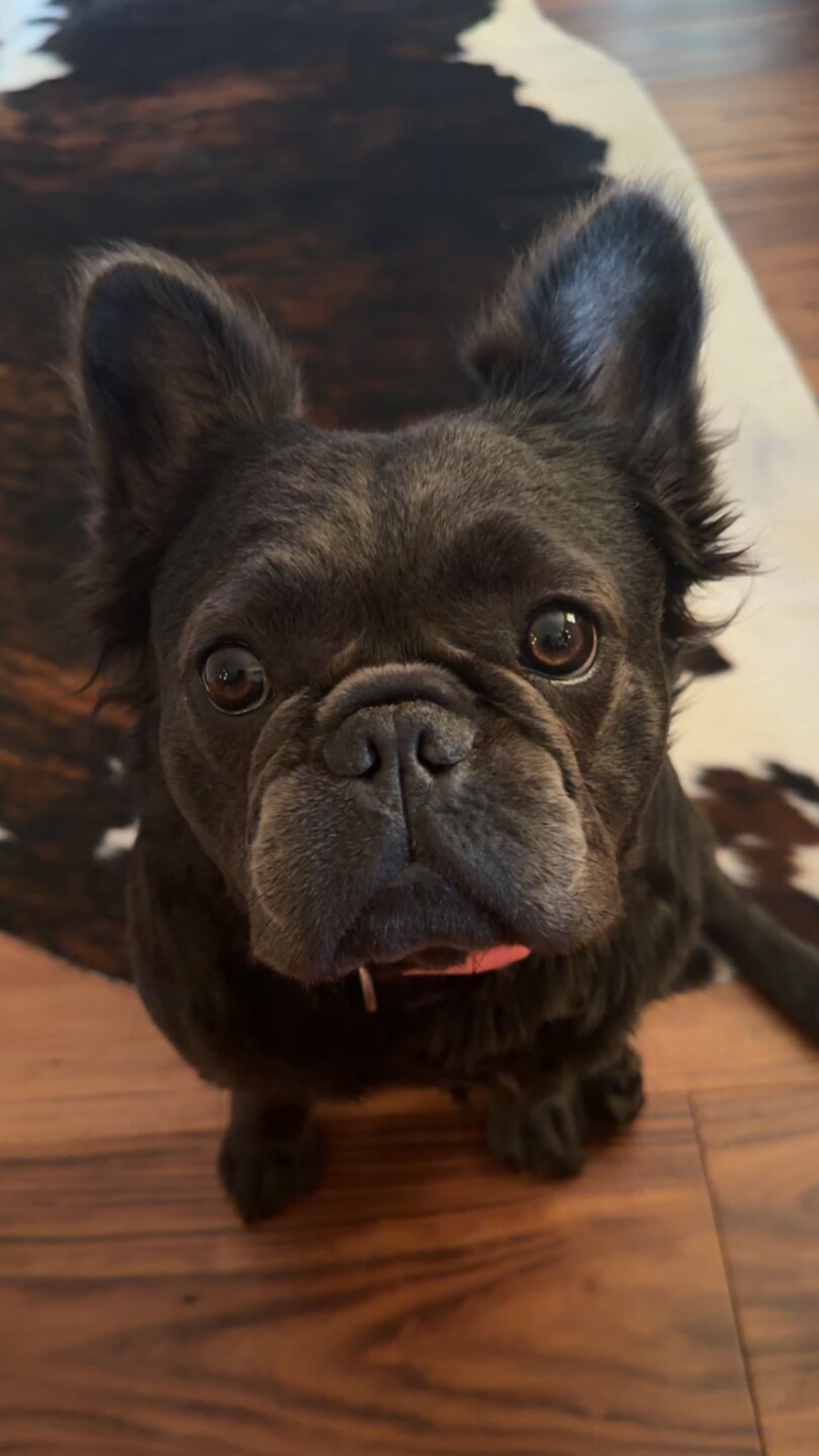 gigi petty monday.jpeg