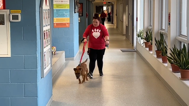 Screenshot 2024-03-12 231717.png