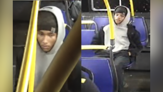 Sexual offense suspect