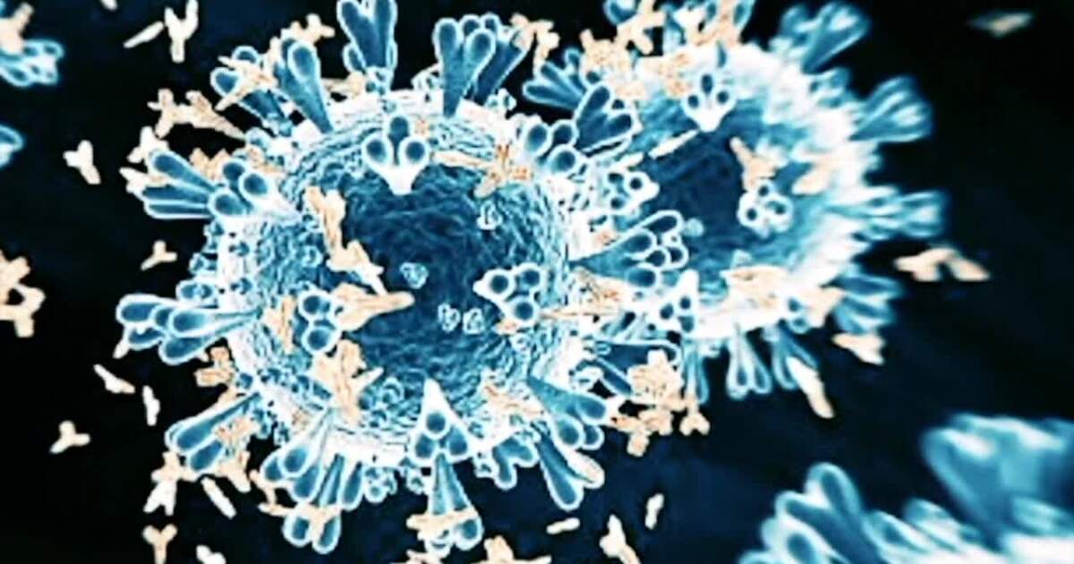 Doctors grow more concerned about COVID-19, RSV, and flu spread as Thanksgiving gatherings approach