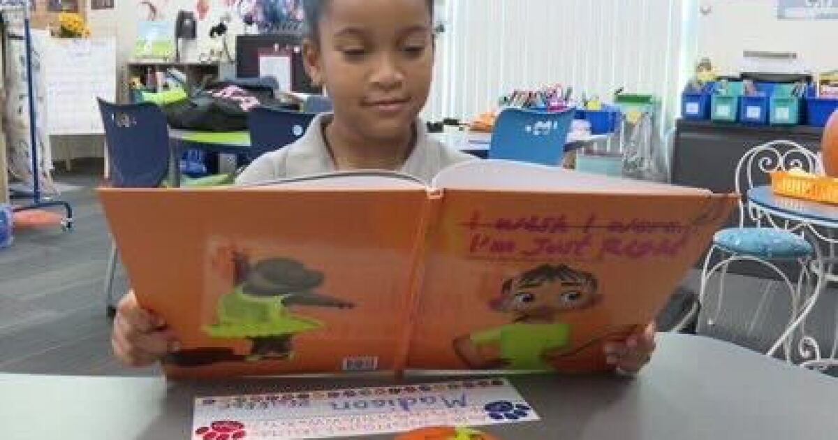 Apollo Beach kindergartener helps write and star in children's book - Vimarsana News