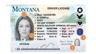 New Driver's License