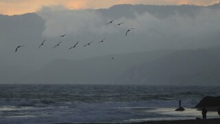 California Pacific Tsunami