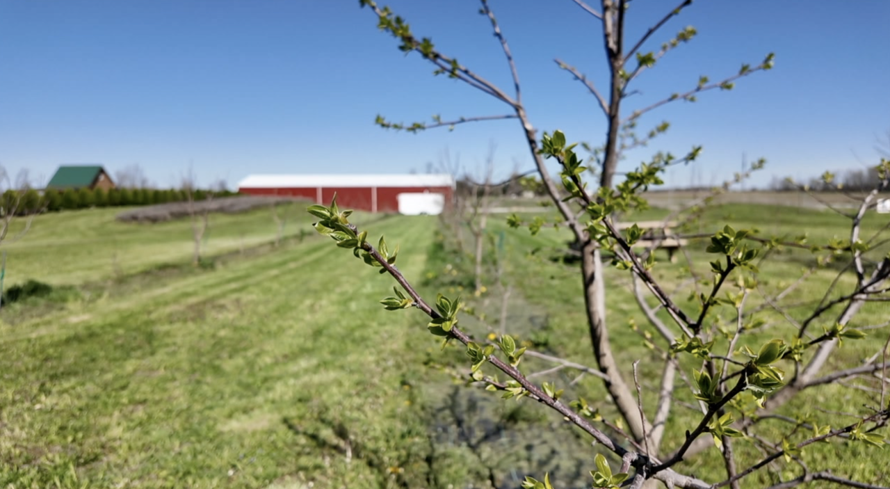 Screenshot 2025-04-28 at 12.01.17 AM.png