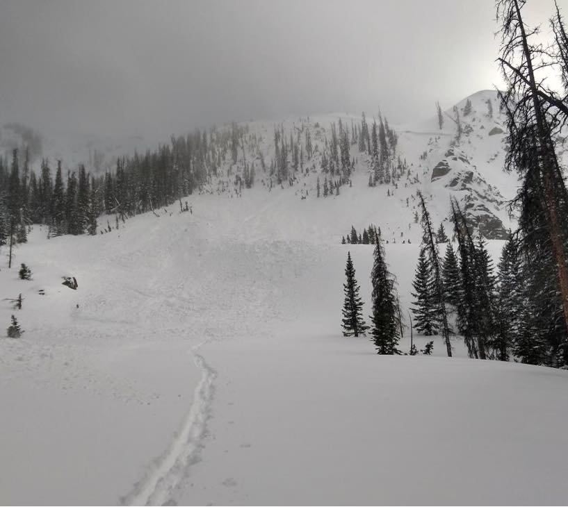 avalanche in chaffee county march 10 2022_1.jpg