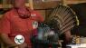Southern Woods and Waters: Paw Paw's Hunt p2