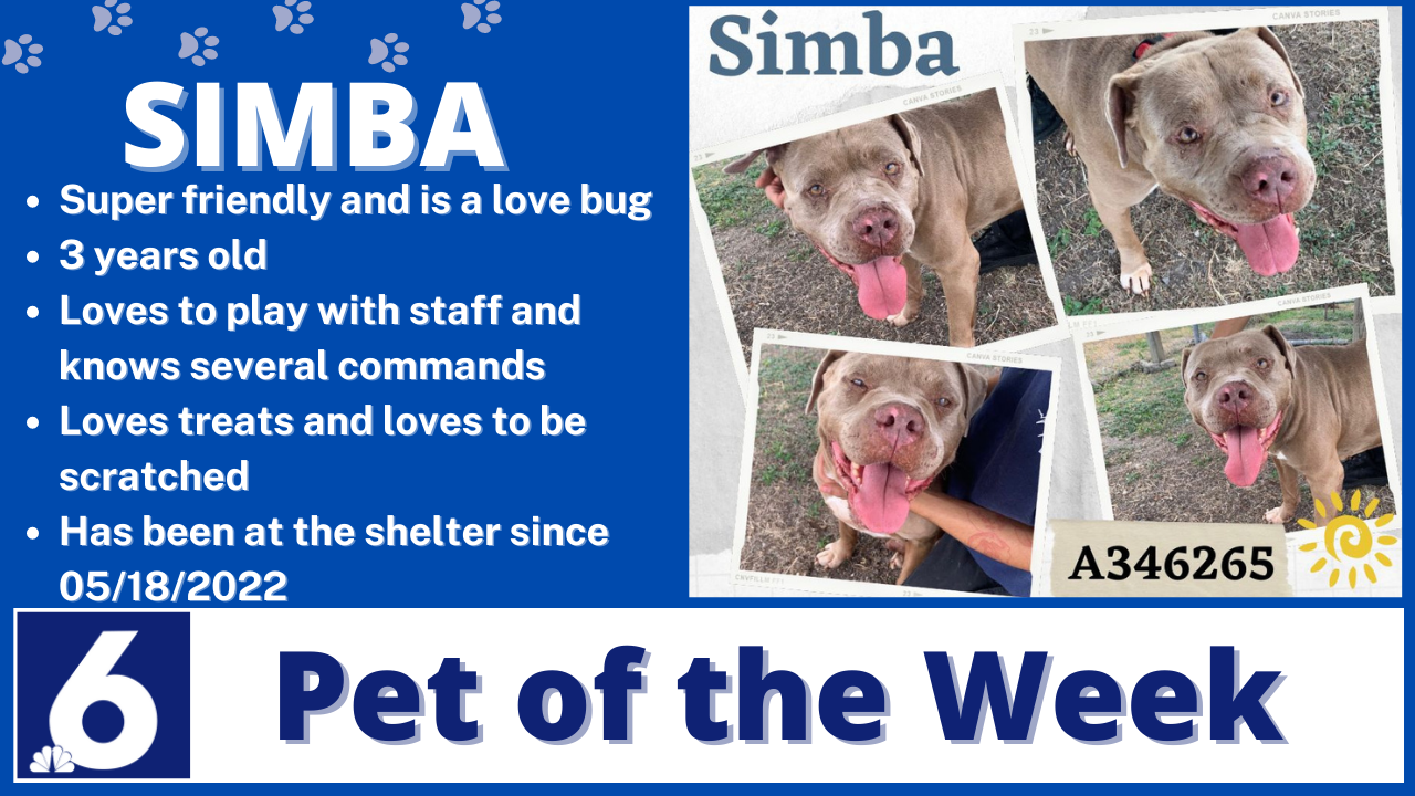 Pet Of The Week: Simba