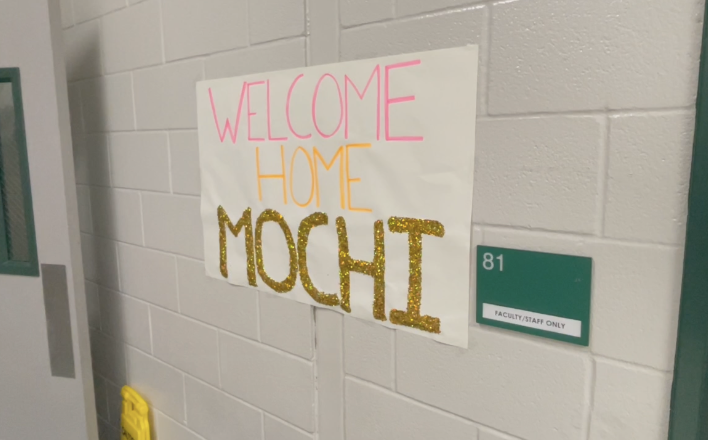 PAWsitive Vibes: Bryan ISD introduces second of three new comfort dogs to elementary schools in the district