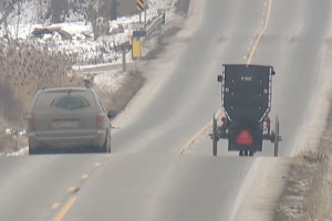 Buggy on the road