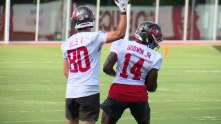 Godwin sills.jpg