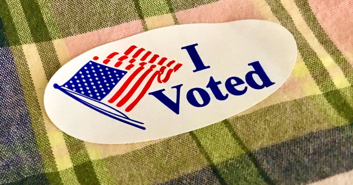 Valdosta election votes to be certified after software issue raised concerns - Vimarsana News
