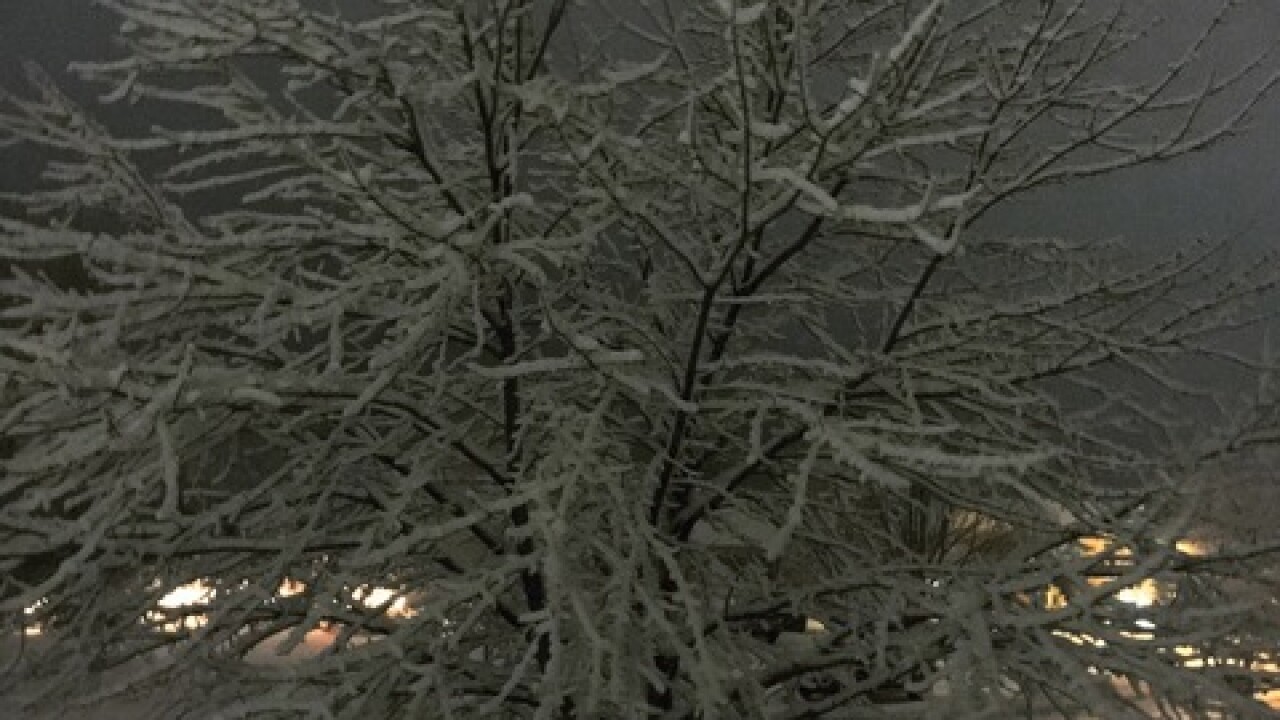GALLERY: Sunday snow pictures