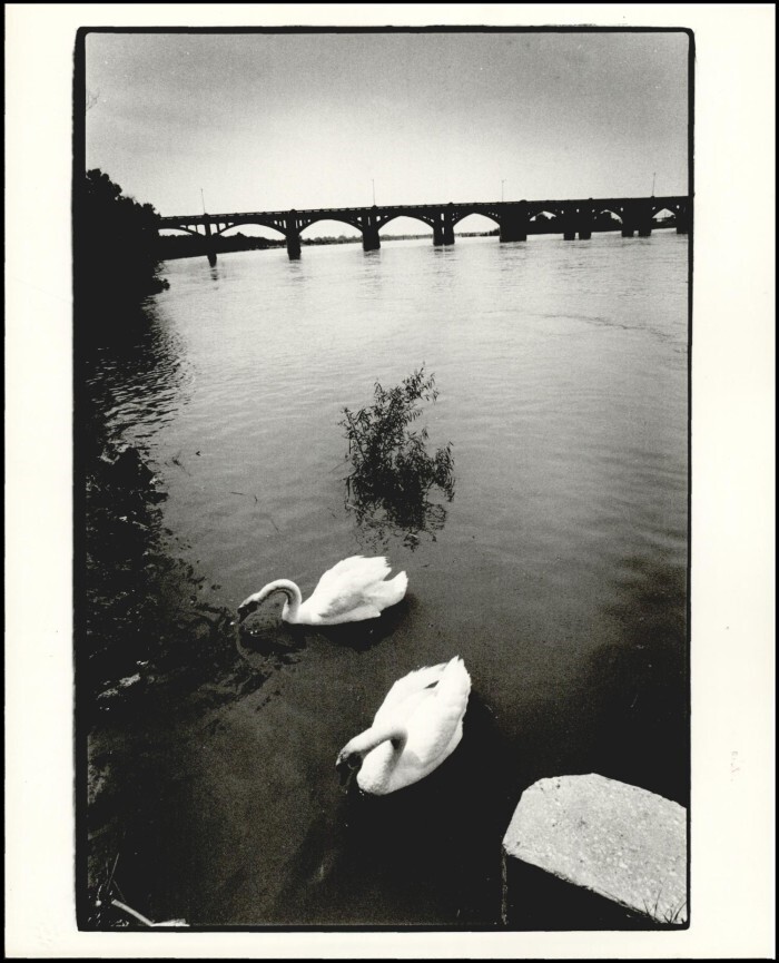 OHS TULSA PARKS 2.jpg