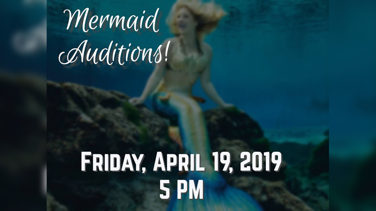Mermaids Wanted Weeki Wachee Springs Holding Auditions To Become