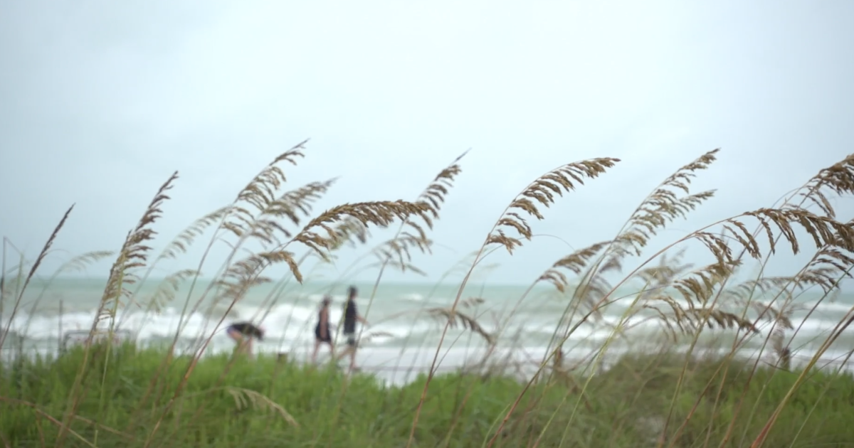 DeSantis, Democrats, environmentalists join forces to oppose new Gulf drilling