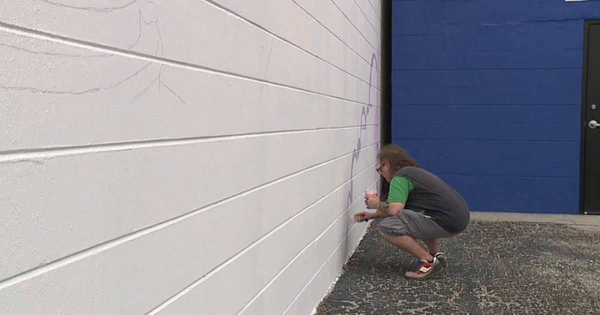 SHINE Mural Festival returns to St. Petersburg with 18 new murals - Vimarsana News