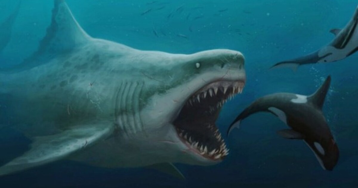 'The Meg' (MOVIE REVIEW)