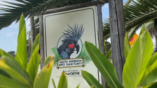 BIRD SANCTUARY.jpg
