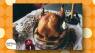 World's Fastest Turkey Carver Shares Turkey Cooking, Carving Tips