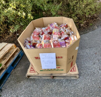 Monticello church pantry distributes food to hundreds of families monthly