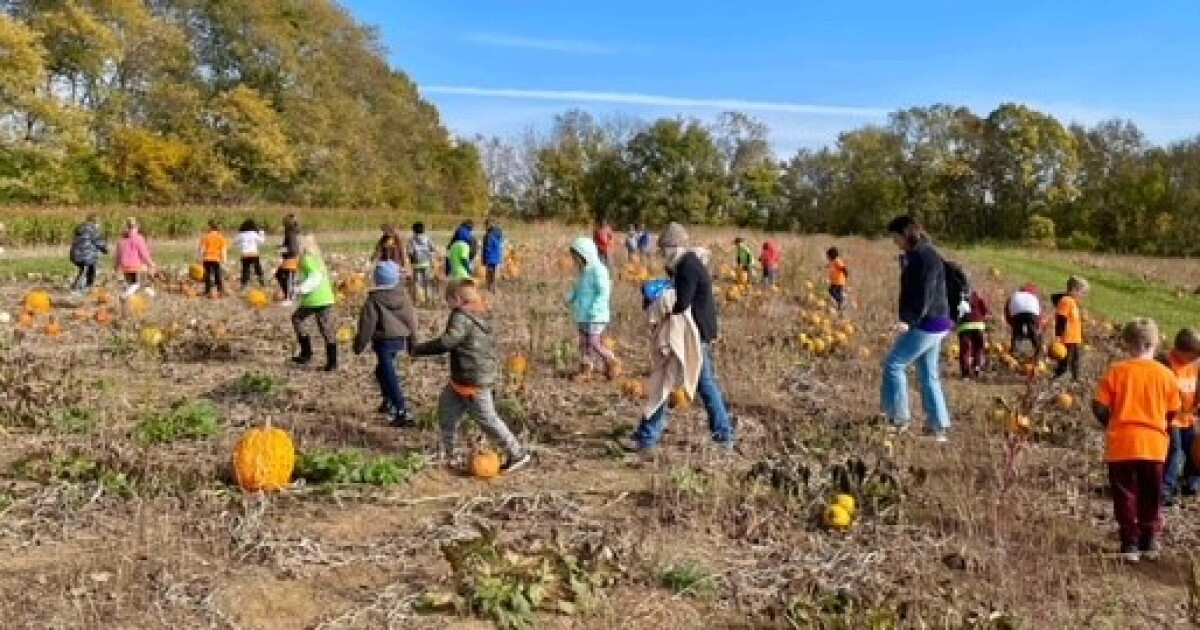 Kentucky farms prepare to open for fall season - Vimarsana News